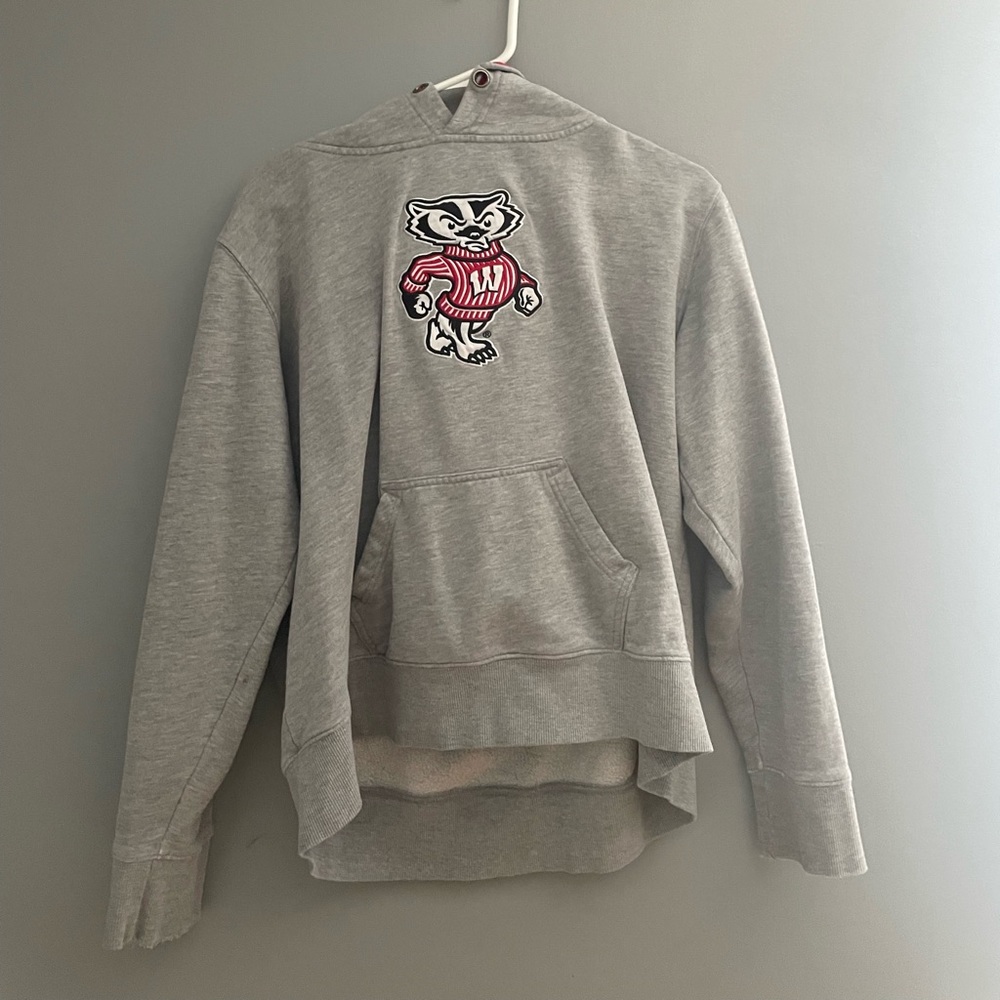 Grey wisconsin hoodie! fits a size small.